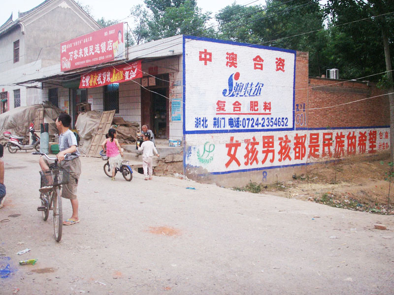 西洋肥業(yè)墻體廣告