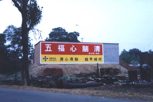 神威藥業(yè)五福心腦清墻體廣告