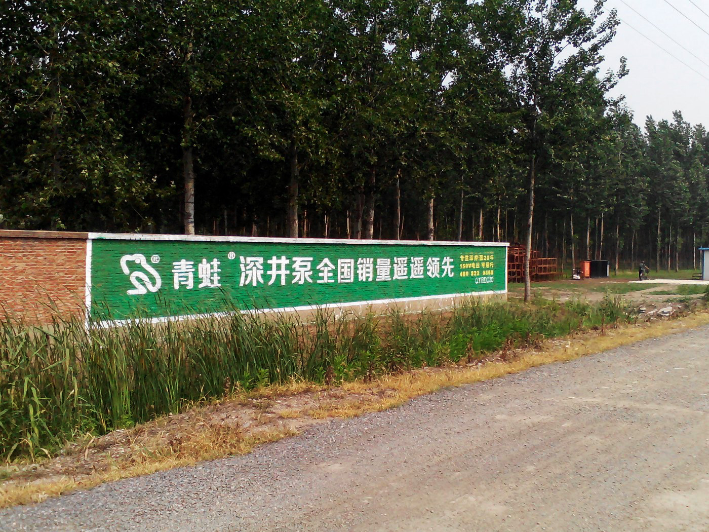 青蛙深井泵墻體廣告