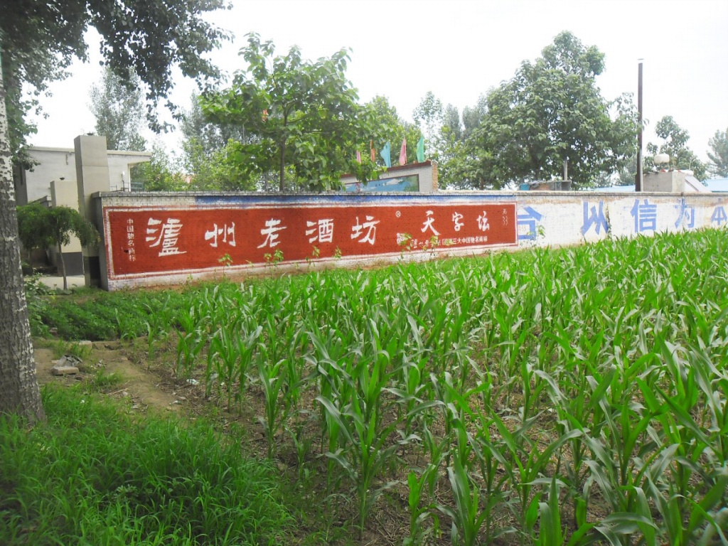 瀘州老酒坊墻體廣告